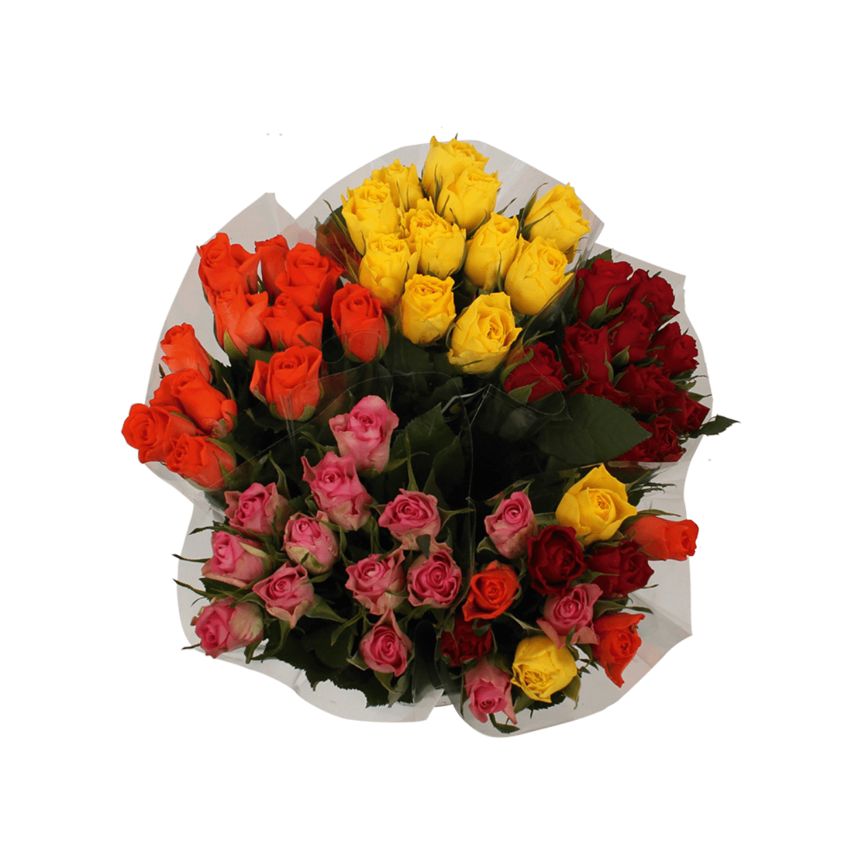Bouquet de 11 roses certifiées fairtrade à bas prix chez ALDI
