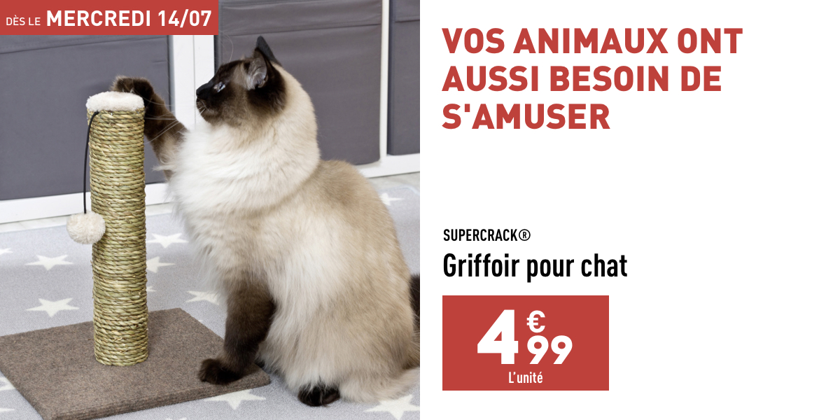 Griffoir pour chat