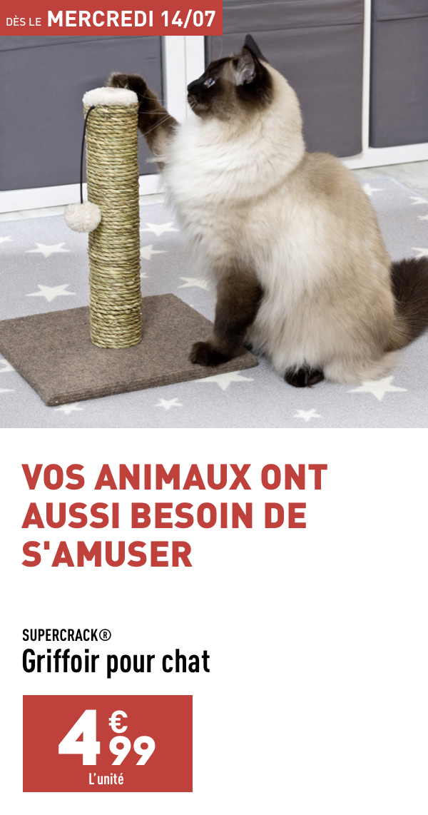 Griffoir pour chat