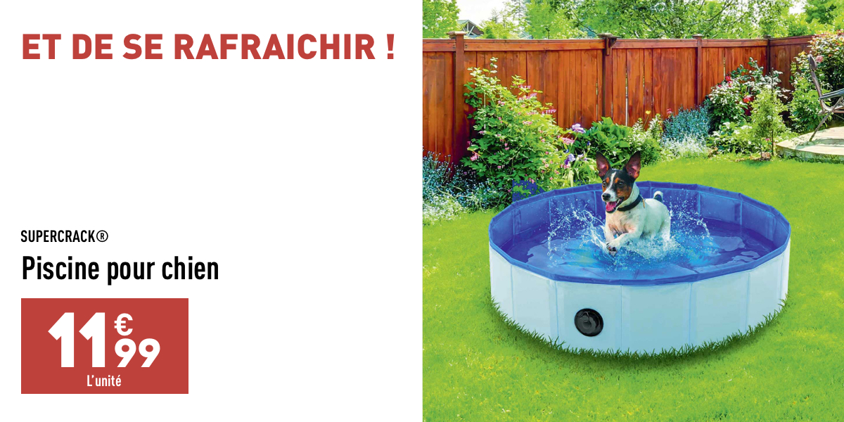 Piscine pour chien