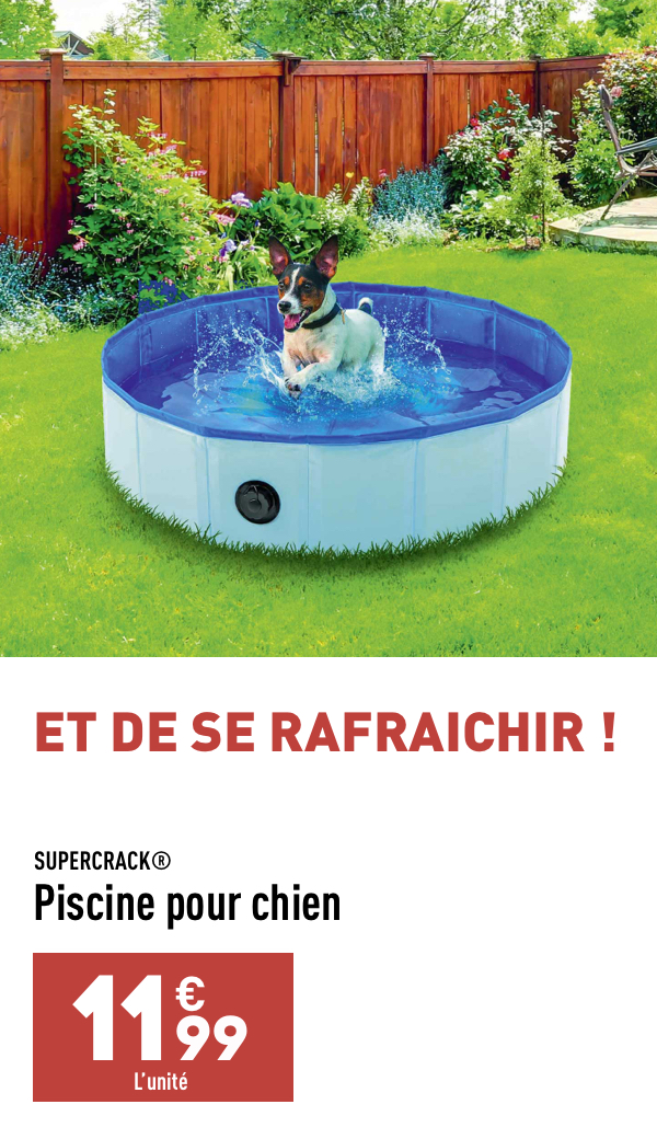 Piscine pour chien