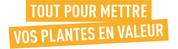 Tout pour mettre vos plantes en valeur