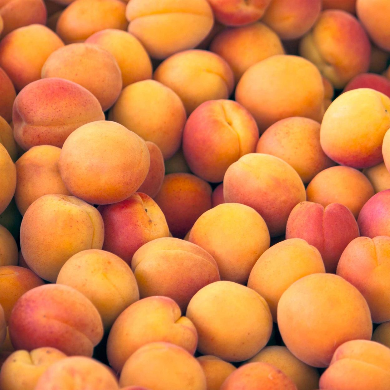 Abricots A Bas Prix Chez Aldi